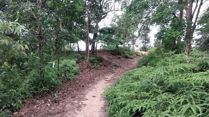 Puncak Lipan Picture 2