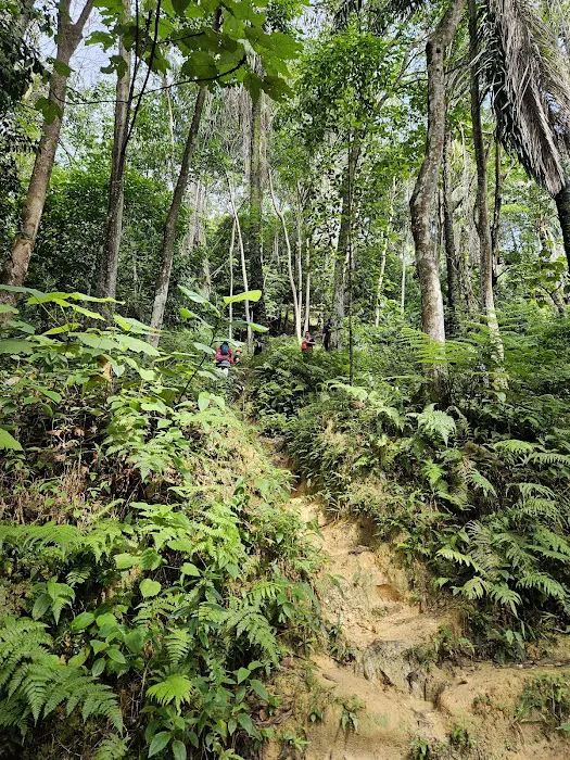 Melati Hill Trailhead Picture 6