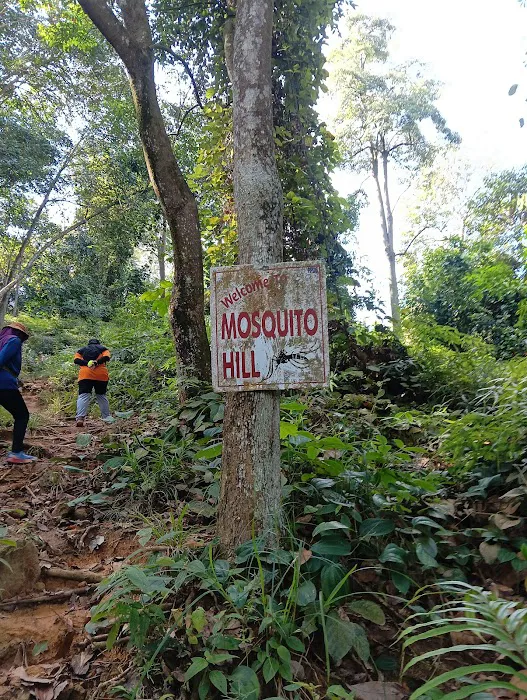 Melati Hill Trailhead Picture 5