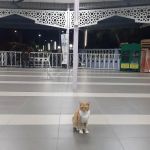 Surau Al - Mutmainnah (Solat Jumaat)