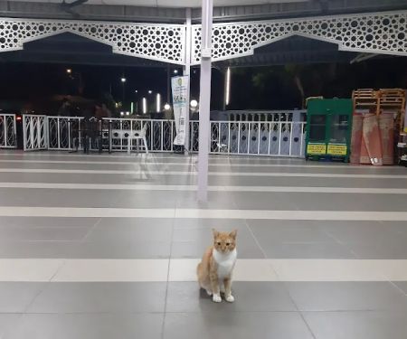 Surau Al - Mutmainnah (Solat Jumaat)