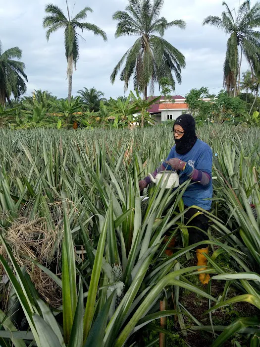 Pondok Zaidi & Rozita Picture 3