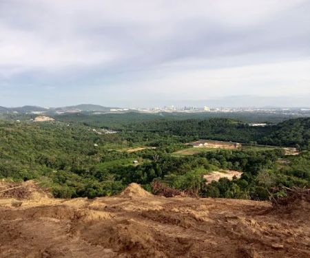 THC's Durian Orchard