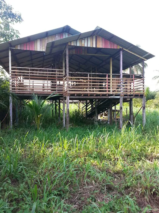 Gembala Timoran Goat Barn Picture 5