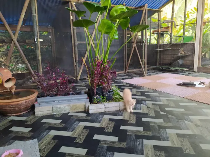 The Garden Picture 4