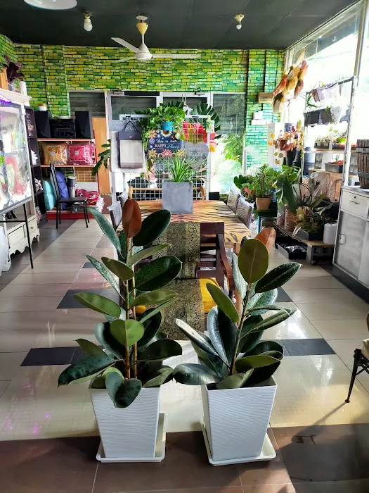 Oshin shoplot Picture 2