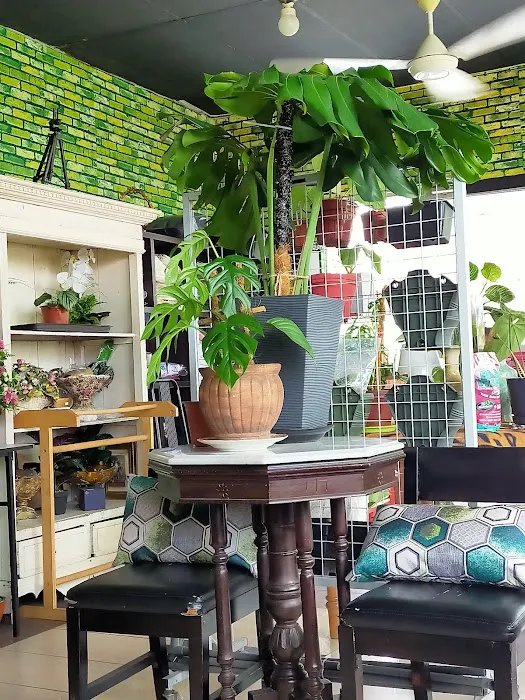 Oshin shoplot Picture 5
