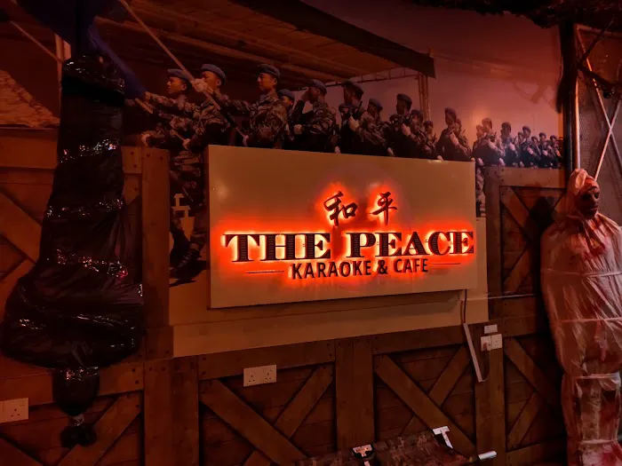 The Peace Karaoke & Cafe Picture 5