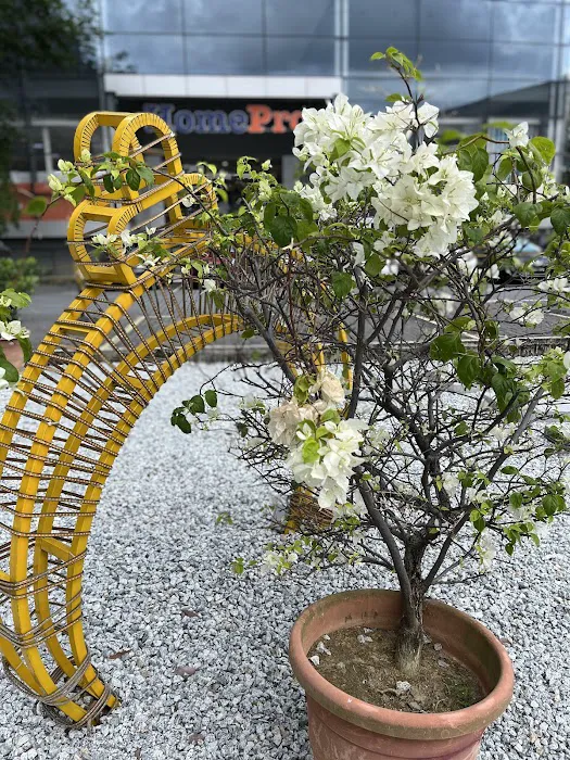 Summit Garden Picture 2