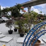 Summit Garden