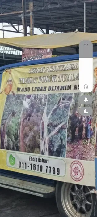 PEMBEKAL MADU LEBAH ASLI TUALANG Picture 1
