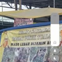 PEMBEKAL MADU LEBAH ASLI TUALANG ico