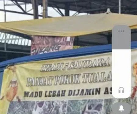 PEMBEKAL MADU LEBAH ASLI TUALANG