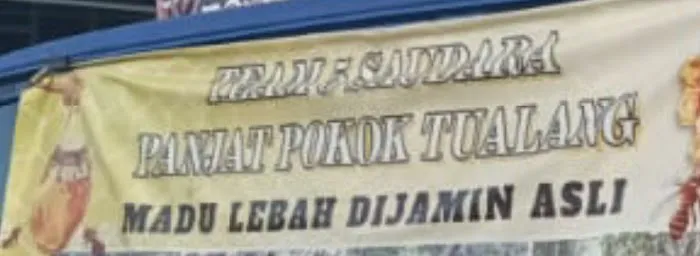 PEMBEKAL MADU LEBAH ASLI TUALANG Picture 2