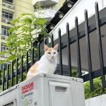 Taman USJ 6