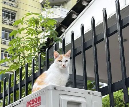 Taman USJ 6