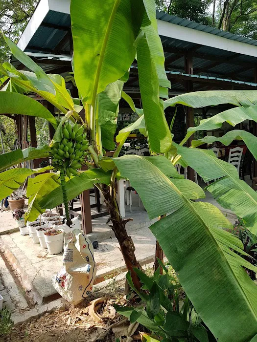 TTDI Edible Community Garden Picture 4