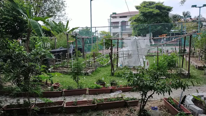 TTDI Edible Community Garden Picture 1