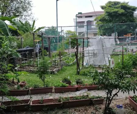 TTDI Edible Community Garden