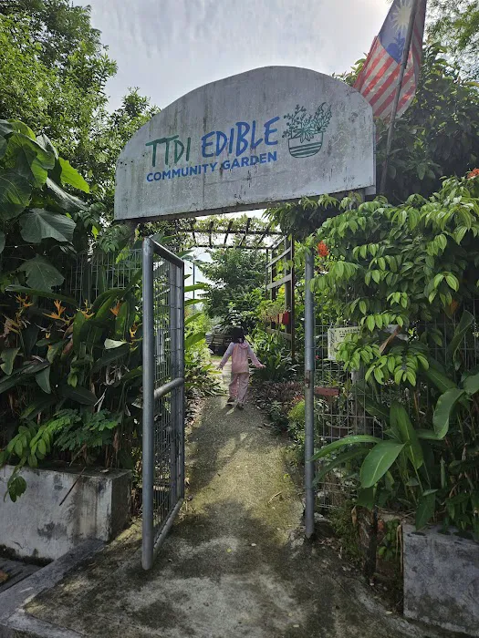 TTDI Edible Community Garden Picture 3