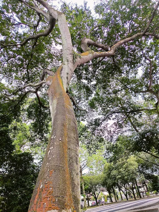 Taman Zaaba Picture 3