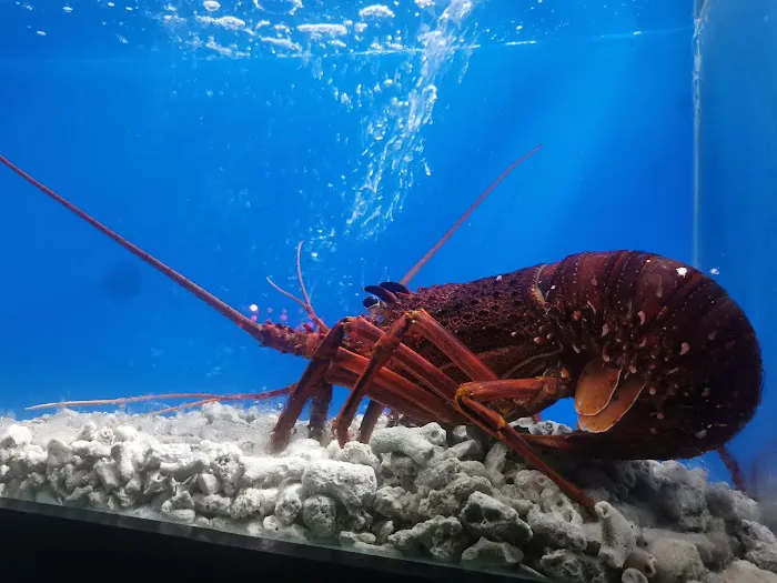 Grand Huat Seafood Restaurant 大發海鲜酒楼 Picture 10