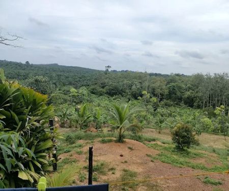 Kebun Atok Abas