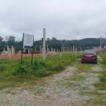 Sungai Ruan Chicken Wing