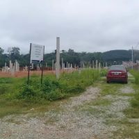 Sungai Ruan Chicken Wing ico
