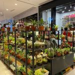 My.LittleGreens