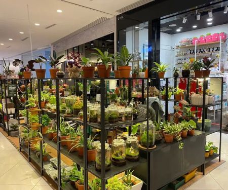 My.LittleGreens