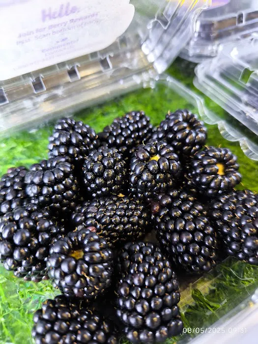 My Fruit Market π Picture 4