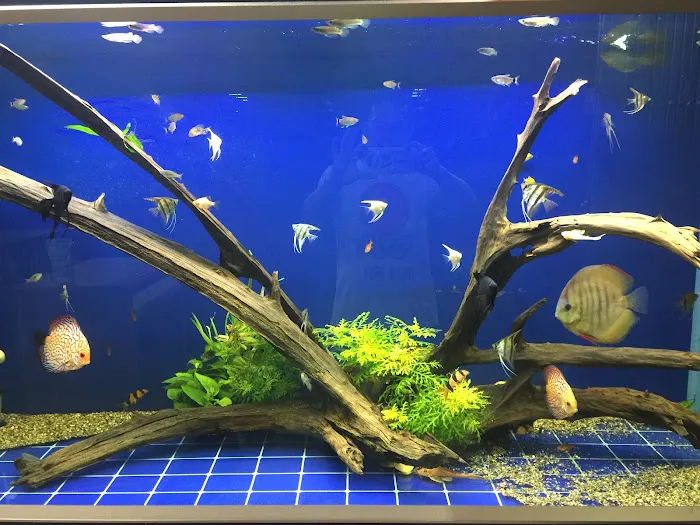 CC AQUAPETS Picture 3