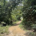 Bukit Lagong Trail Head