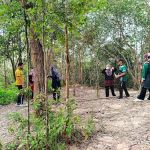 Panau Hill Trailhead