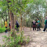 Panau Hill Trailhead ico