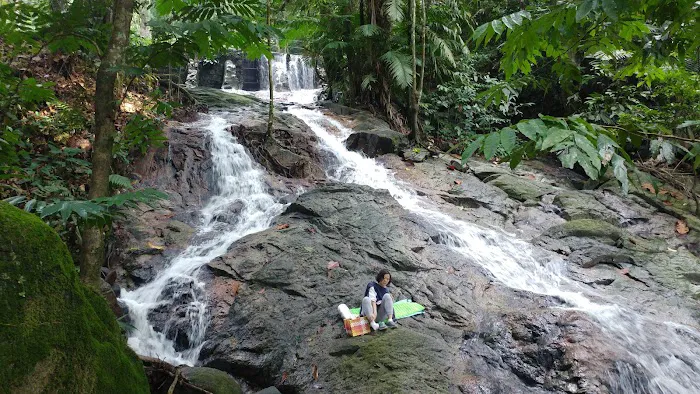 Forest Research Institute Malaysia (FRIM) Picture 6