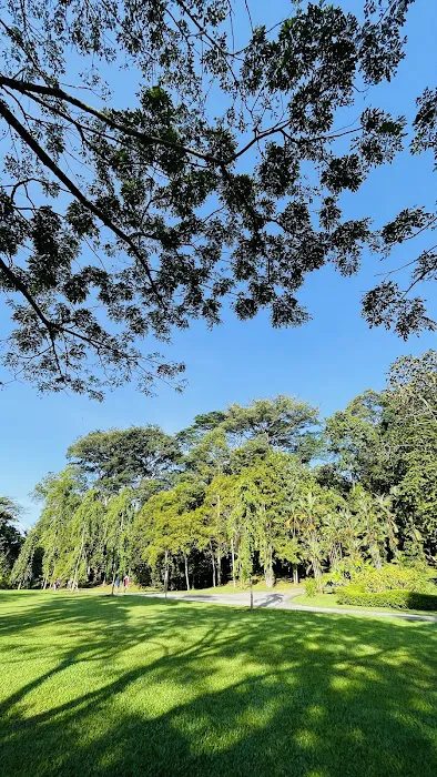 Forest Research Institute Malaysia (FRIM) Picture 4