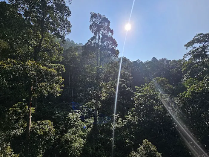 Forest Research Institute Malaysia (FRIM) Picture 1