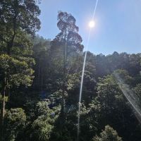 Forest Research Institute Malaysia (FRIM) ico