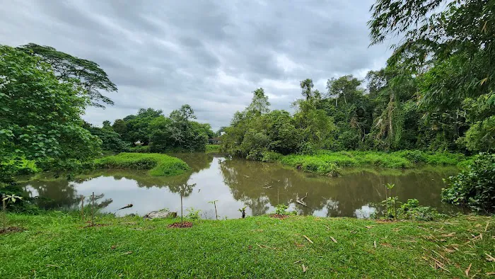 Forest Research Institute Malaysia (FRIM) Picture 9