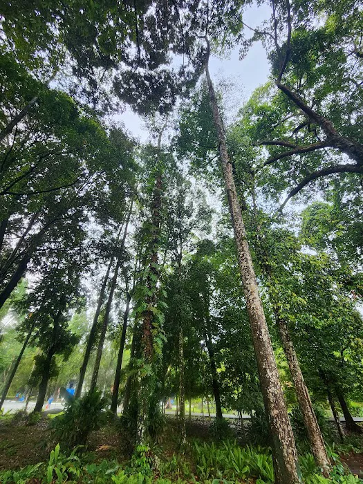Forest Research Institute Malaysia (FRIM) Picture 8