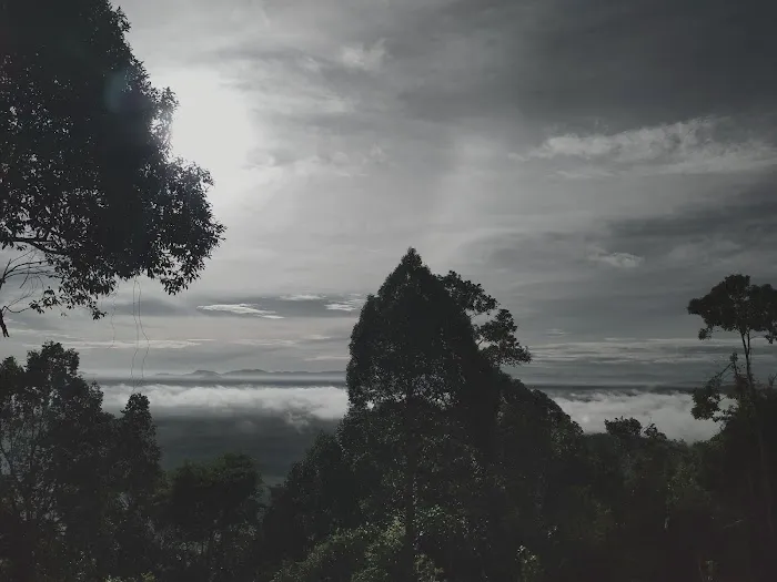 Bukit Kwong Picture 7