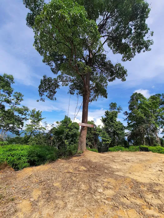 Bukit Kwong Picture 9
