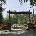 Taman Rimba Bukit Lagong MPS