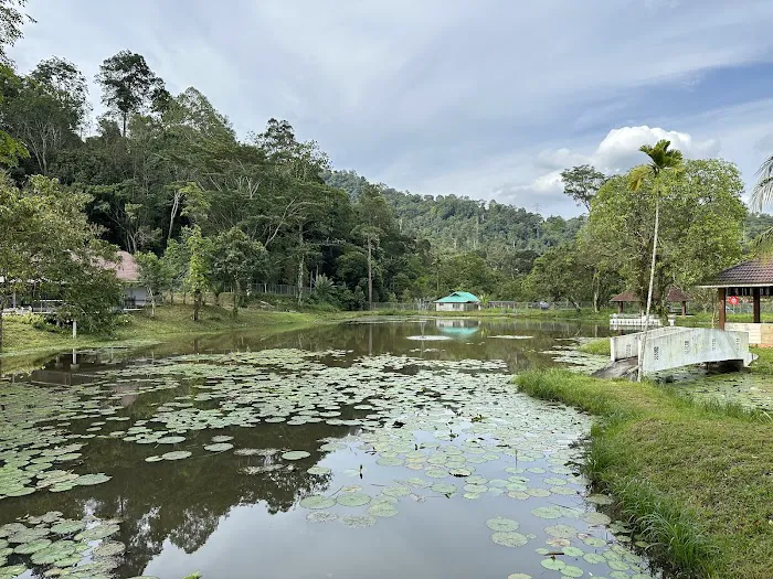 Taman Rimba Bukit Lagong MPS Picture 2