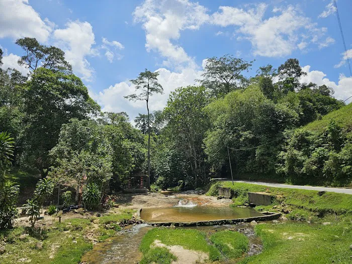 Taman Rimba Bukit Lagong MPS Picture 6