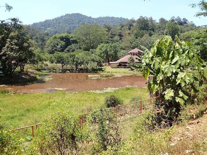 Taman Rimba Bukit Lagong MPS Picture 9