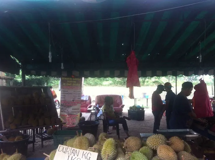 ALONG BUAH JELEBU Picture 2