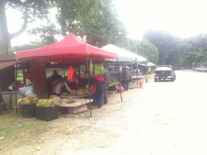 ALONG BUAH JELEBU Picture 5